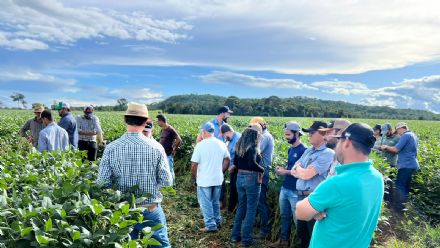 DIA DE CAMPO SUPREMA AGRO - CONFRESA
