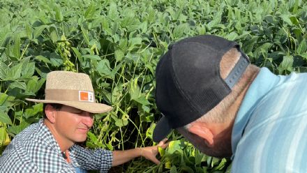 DIA DE CAMPO SUPREMA AGRO - CONFRESA