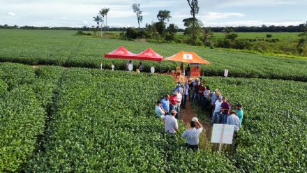 DIA DE CAMPO SUPREMA AGRO - CONFRESA