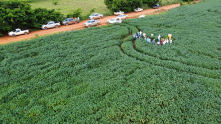 DIA DE CAMPO SUPREMA AGRO - CONFRESA