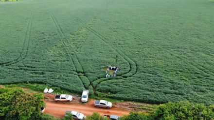 DIA DE CAMPO SUPREMA AGRO - CONFRESA