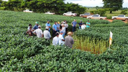 DIA DE CAMPO SUPREMA AGRO - CONFRESA