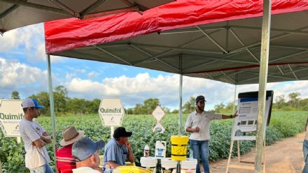 DIA DE CAMPO SUPREMA AGRO - CONFRESA
