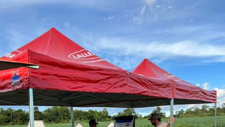 DIA DE CAMPO SUPREMA AGRO - CONFRESA