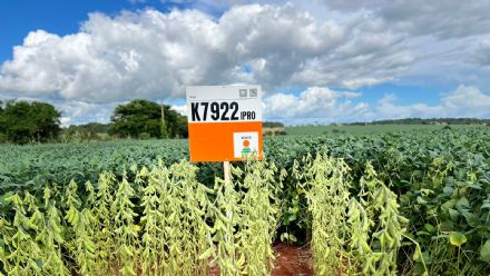 DIA DE CAMPO SUPREMA AGRO - CONFRESA