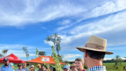 DIA DE CAMPO SUPREMA AGRO - CONFRESA