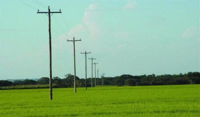 Cadastro rural pode reduzir em at� 70% as contas de energia em Mato Grosso