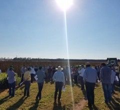 Aprosoja apresenta resultados de pesquisas do CAD Parecis