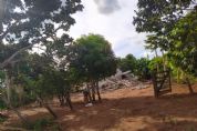 Mesmo ap�s Justi�a conceder liminar em favor as fam�lias, casas s�o demolidas no Portal da Amaz�nia