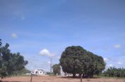 Mesmo ap�s Justi�a conceder liminar em favor as fam�lias, casas s�o demolidas no Portal da Amaz�nia