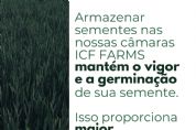 Tecnologia inovadora para armazenagem de sementes chega no Vale do Araguaia