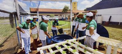 Cultivo hidrop�nico beneficia comunidades no interior de Mato Grosso