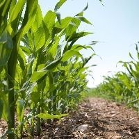 Sistema Famasul divulga balan�o de 2019