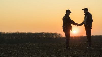 Cr�dito rural: O grande respons�vel pelo crescimento no agro