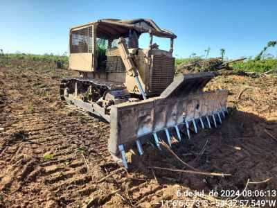 Batalh�o Ambiental prende tr�s pessoas e aplica R$ 450 mil em multas por desmatamento ilegal