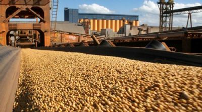 Esmagamento de soja pode crescer 50% em Mato Grosso