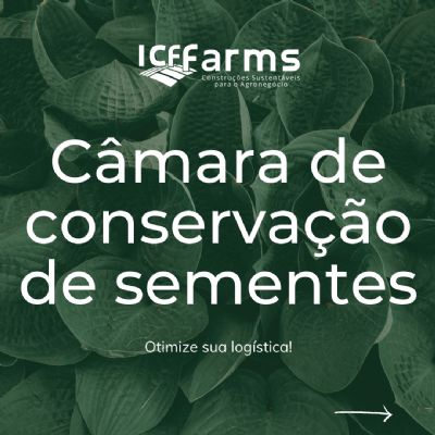 Tecnologia inovadora para armazenagem de sementes chega no Vale do Araguaia