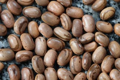 Feij�o tem tend�ncia de pre�os firmes com quebra de safra