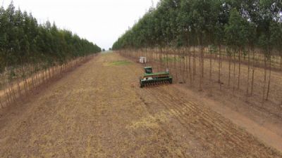 Pesquisa mostra que convers�o lavoura, pecu�ria, floresta �poupa� 2,5 milh�es de hectares em MT