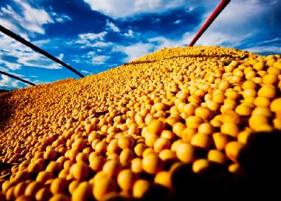 SOJA/CEPEA: D�lar sobe e eleva m�dia mensal do gr�o para maior patamar desde jul/16