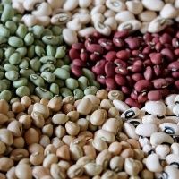 Cai importa��o de feij�es