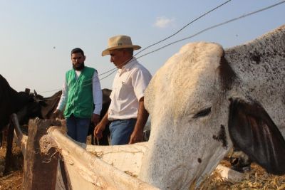 Produtor aumenta em 6 mil litros a produ��o de leite com ajuda do Senar