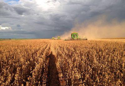 Soja: semana come�a com chuvas no Sul, Centro-Oeste e Nordeste
