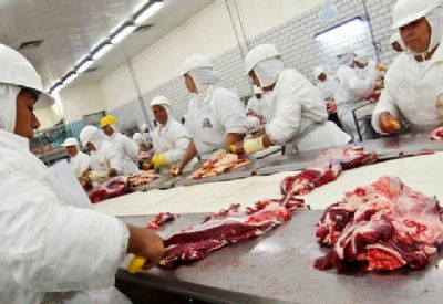 Arroba do boi gordo volta a subir e fecha a semana acima dos R$ 200