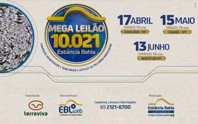 Mega Leil�o 10.021: Est�ncia Bahia 30 anos de atividades e oferta os melhores animais da pecu�ria