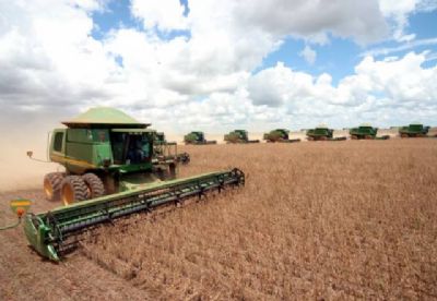 Colheita da soja � praticamente finalizada em Mato Grosso