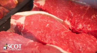 Aumento nas exporta��es brasileiras de carne bovina na primeira semana de janeiro/21