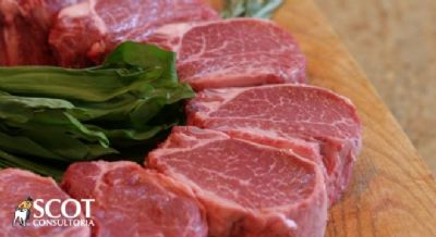 Carne bovina: m�dia di�ria exportada em novembro aumentou 7,8% na compara��o anual