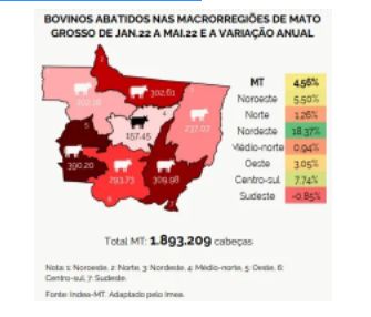 Abate de bovinos aumenta em Mato Grosso