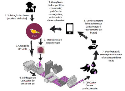 Nanossensor de baixo custo rastreia frutas e monitora a sua qualidade