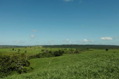 Agro deve ficar atento � reforma tribut�ria para n�o pagar a conta da pandemia