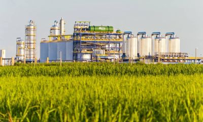 ICM e Agribrasil assinam acordo para constru��o de unidade em Canarana MT