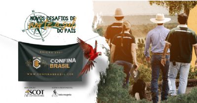 Confina Brasil vai mapear 40% dos confinamentos brasileiros