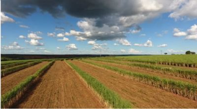 3� abre com valoriza��o de 2% sobre o pre�o do a�ucar em bolsa de Nova York