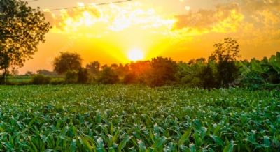 Sem chuvas no Brasil Central em agosto