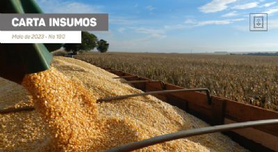 Carta Insumos - O pre�o do DDG est� atrativo?