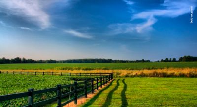 Novidades no prazo do Cadastro Ambiental Rural (CAR) e do Programa de Regulariza��o Ambiental (PRA)