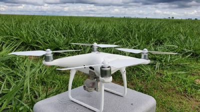 Drones garantem 66% de acur�cia no monitoramento de pastagens