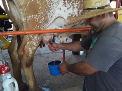 Assist�ncia t�cnica melhora tomada de decis�o de produtores rurais em MT