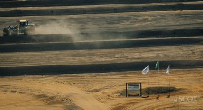 5 motivos para apostar no manejo correto de dejetos do gado