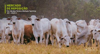 Cota��es da reposi��o subindo