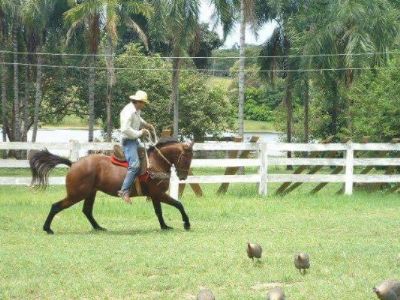 Em 25 anos o SENAR-MT transformou a vida de mais de hum milh�o de pessoas