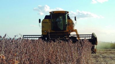 Produtores de Mato Grosso antecipam venda de gr�os