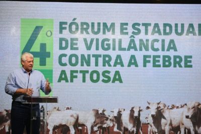 F�rum refor�a a import�ncia de compartilhar responsabilidades para prevenir a febre aftosa