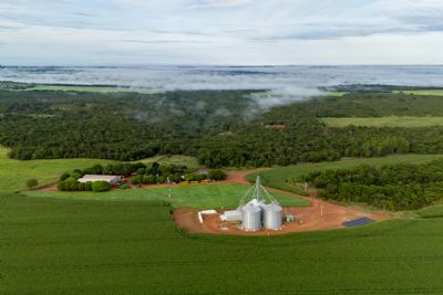 Etanol de milho: a energia limpa que nasce nas lavouras de Mato Grosso