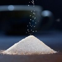 Pesquisa pretende selecionar microrganismos que combatam a broca-podrid�o da cana-de-a��car